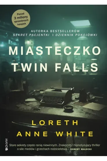 Miasteczko Twin Falls
