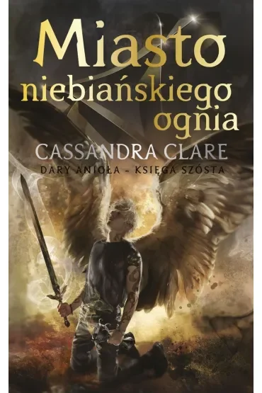 Miasto Niebiańskiego Ognia. Cykl Dary Anioła. Tom 6