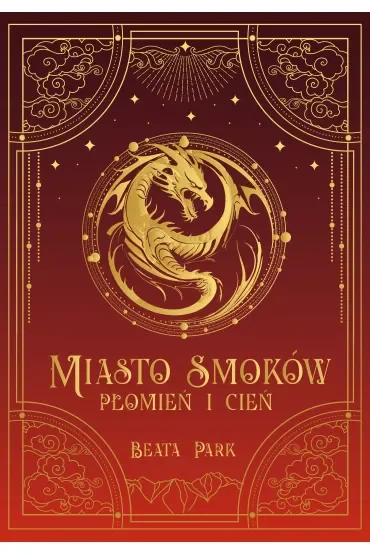 Płomień i cień. Miasto smoków. Tom 1