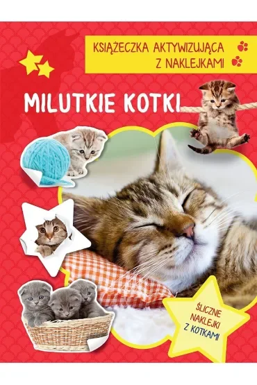 Milutkie kotki. Książeczka aktywizująca z naklejkami