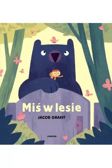 Miś w lesie