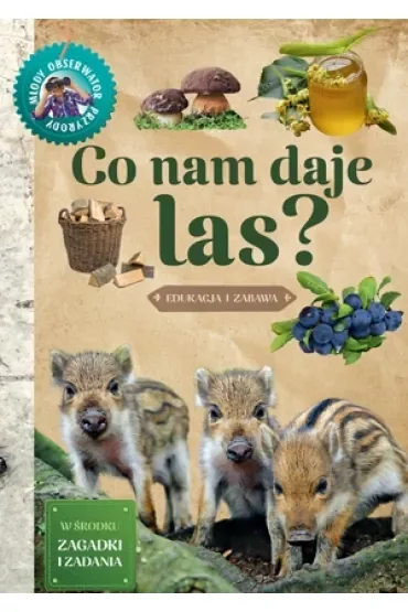 Młody Obserwator Przyrody. Co nam daje las