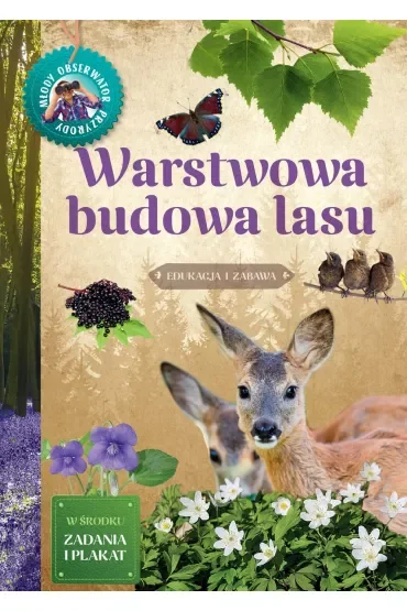 Młody Obserwator Przyrody. Warstwowa budowa lasu