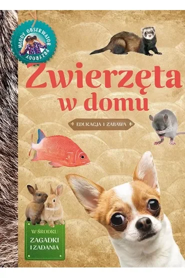 Młody Obserwator Przyrody - Zwierzęta w domu