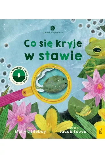 Młodzi przyrodnicy. Co się kryje w stawie