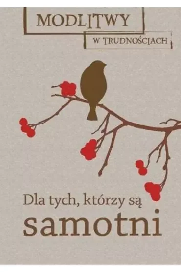Modlitwy w trudnościach. Dla tych, którzy są samotni