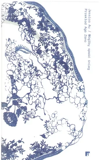 Mógłby spaść śnieg (pocket)