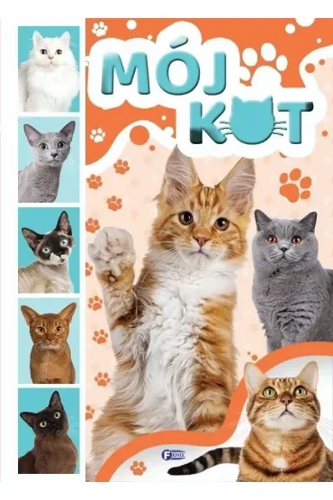Mój kot