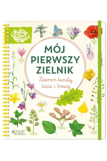 Mój pierwszy zielnik. Zbieram kwiaty, liście i trawy