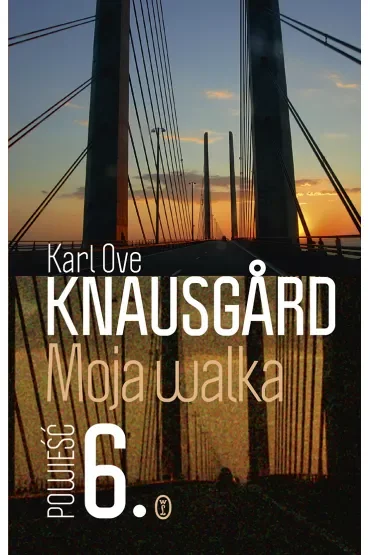 Moja walka. Tom 6