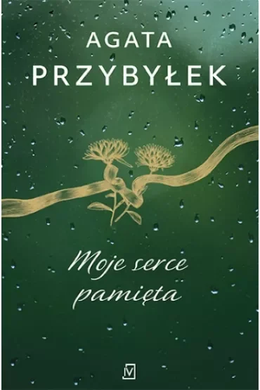 Moje serce pamięta. Detektyw Rafał Kamieński. Tom 4