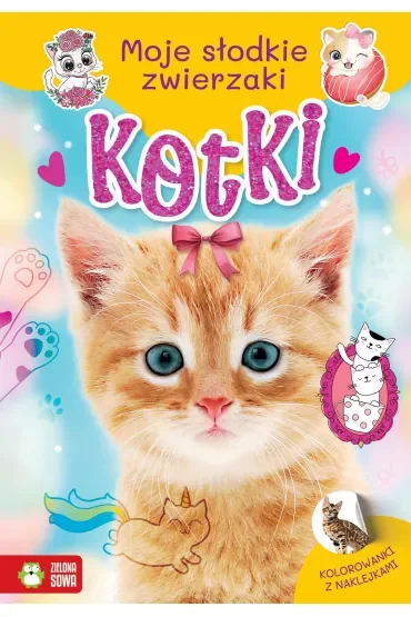 Moje słodkie zwierzaki. Kotki