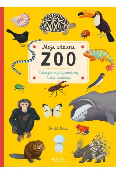 Moje własne zoo. Odkrywamy tajemnice świata zwierząt