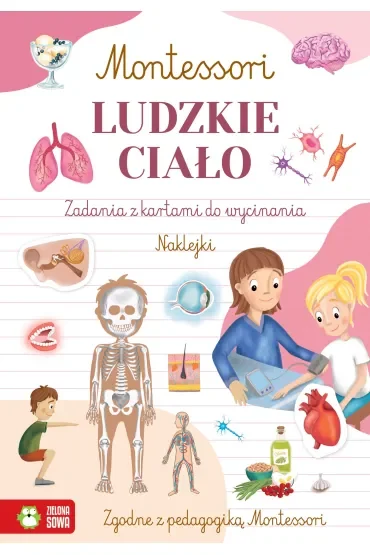 Montessori. Ludzkie ciało
