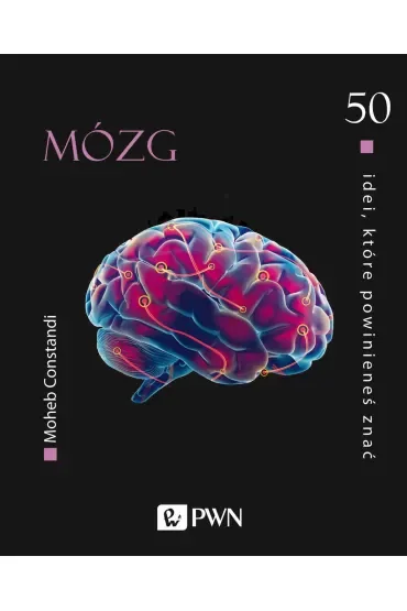 Mózg. 50 idei, które powinieneś znać
