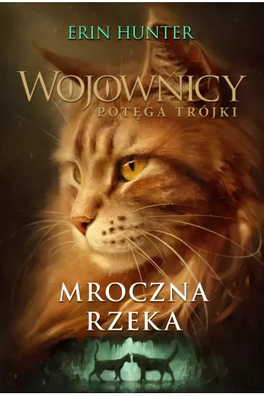 Mroczna rzeka. Wojownicy. Potęga Trójki. Tom 2