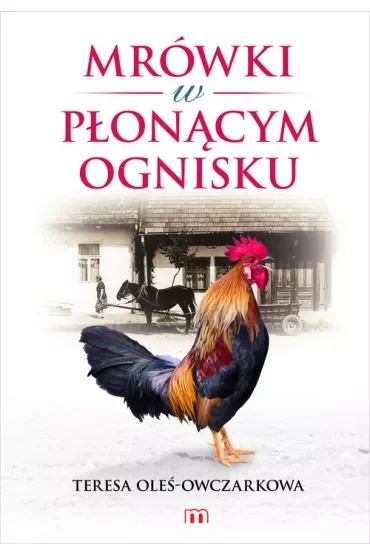 Mrówki w płonącym ognisku