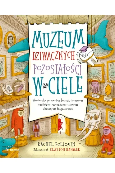 Muzeum dziwacznych pozostałości w ciele. Wycieczka po twoich bezużytecznych częściach, usterkach i innych dziwnych fragmentach