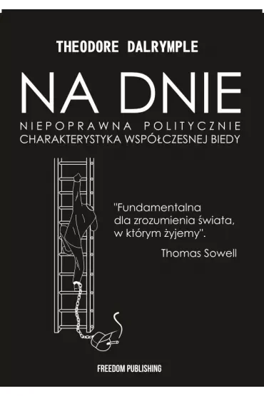 Na dnie. Niepoprawna politycznie charakterystyka współczesnej biedy