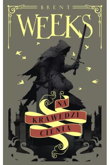 Na krawędzi Cienia. Anioł Nocy. Tom 2