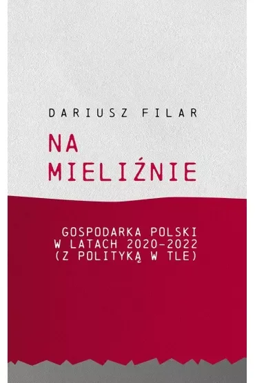 Na mieliźnie. Gospodarka Polski w latach 2020-2022