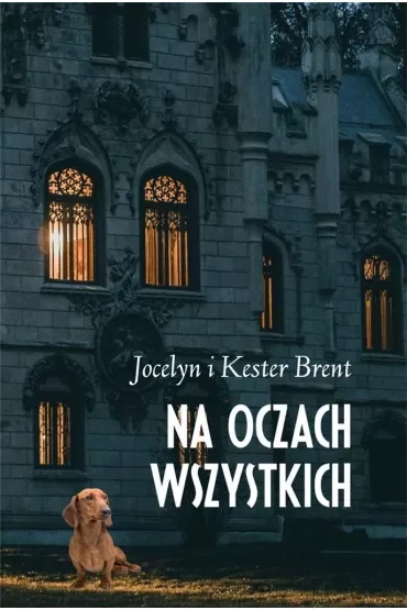 Na oczach wszystkich (pocket)