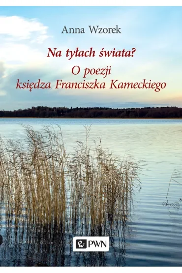 Na tyłach świata? O poezji księdza Franciszka Kameckiego