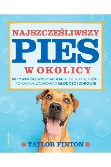 Najszczęśliwszy pies w okolicy