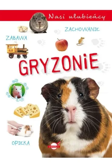 Gryzonie. Nasi ulubieńcy