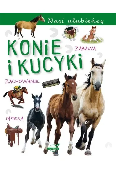 Konie i kucyki. Nasi ulubieńcy
