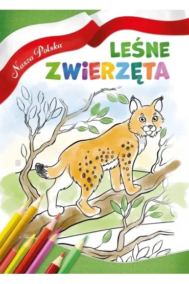 Nasza Polska. Leśne zwierzęta