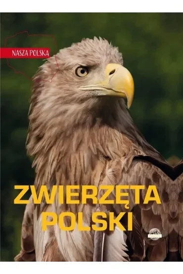 Nasza Polska. Zwierzęta Polski