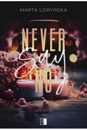 Never Say No. Trylogia Destiny. Tom 1