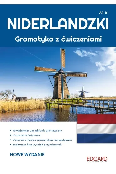 Niderlandzki. Gramatyka z ćwiczeniami. Poziom A1-B1