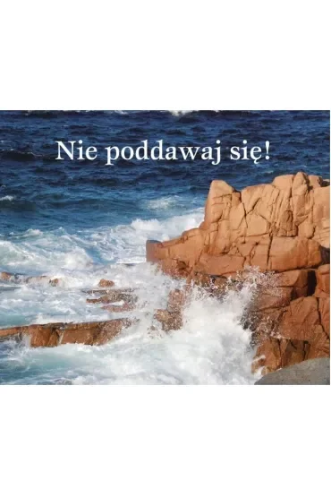 Nie poddawaj się. Perełka