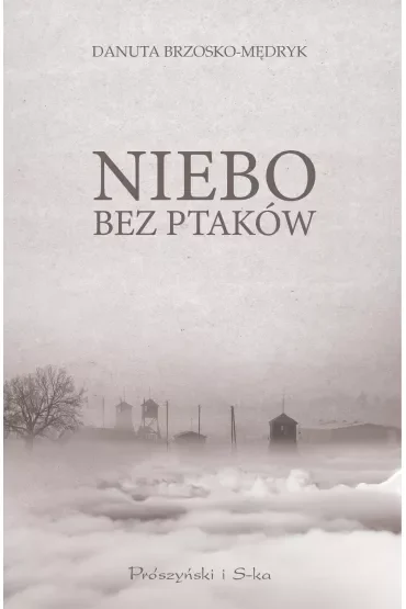 Niebo bez ptaków