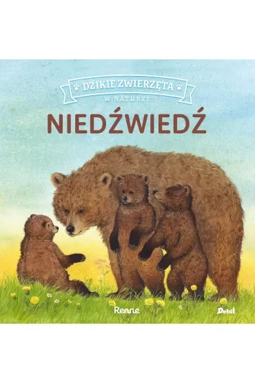 Niedźwiedź. Dzikie zwierzęta w naturze