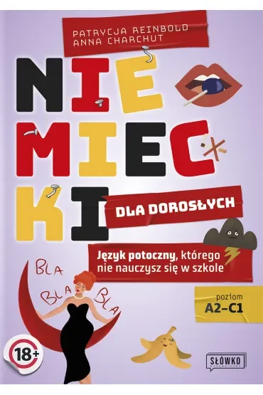 Niemiecki dla dorosłych. Język potoczny, którego nie nauczysz się w szkole