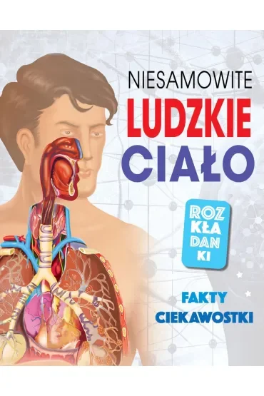 Niesamowite ludzkie ciało. Fakty, ciekawostki. Rozkładanki