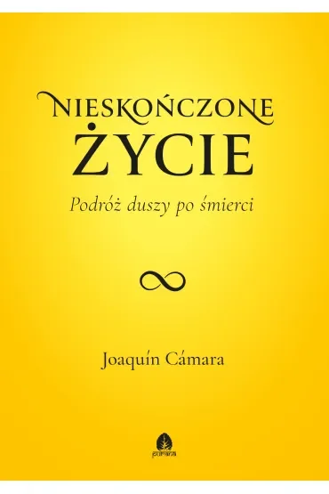 Nieskończone życie. Podróż duszy po śmierci. Życie po życiu. Tom 1