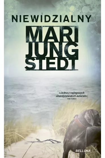 Niewidzialny. Inspektor Anders Knutas. Tom 1