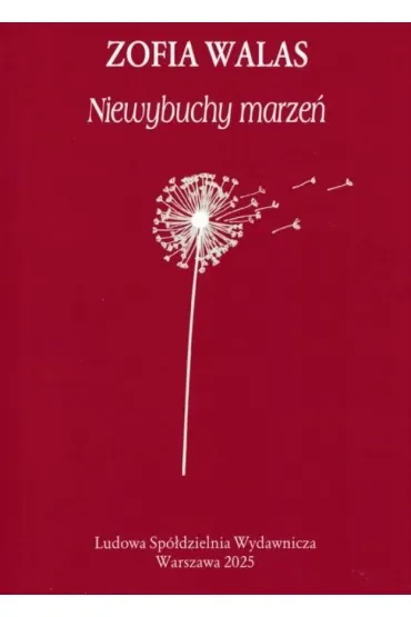 Niewybuchy marzeń