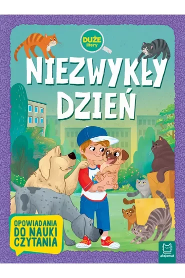 Niezwykły dzień. Opowiadania do nauki czytania. Duże Litery