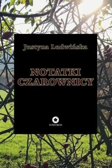 Notatki czarownicy