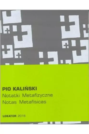 Notatki metafizyczne/Notas metafisicas