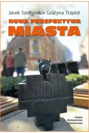 Nowa perspektywa miasta