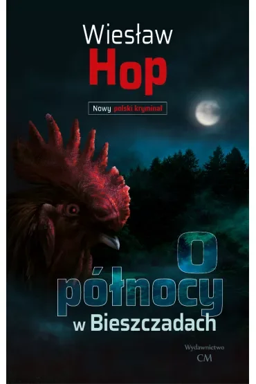 O północy w Bieszczadach