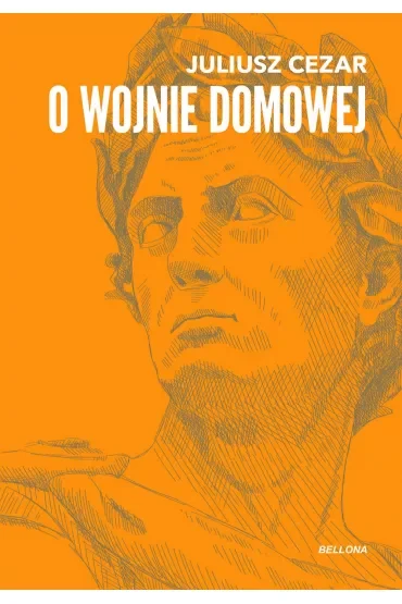 O wojnie domowej