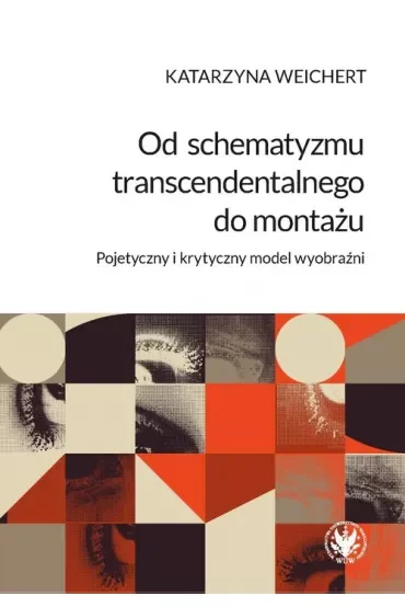 Od schematyzmu transcendentalnego do montażu Pojetyczny i krytyczny model wyobraźni