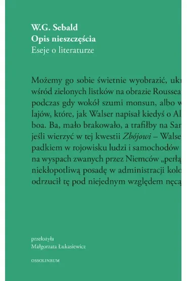 Opis nieszczęścia. Eseje o literaturze